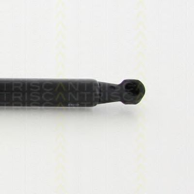 TRISCAN 8710 28106