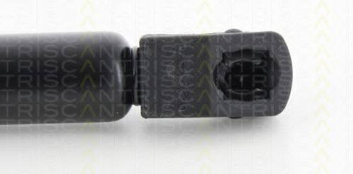 TRISCAN 8710 43238