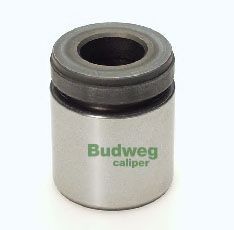 BUDWEG CALIPER 234034