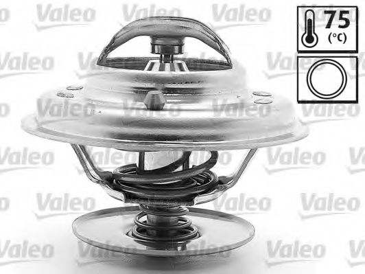 VALEO 819870