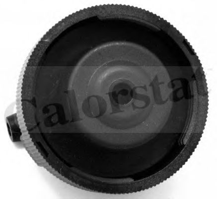 CALORSTAT by Vernet RC0085