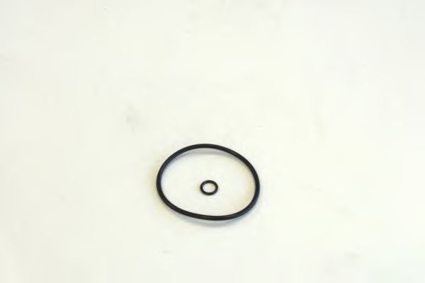 SCT Germany SH 424 P