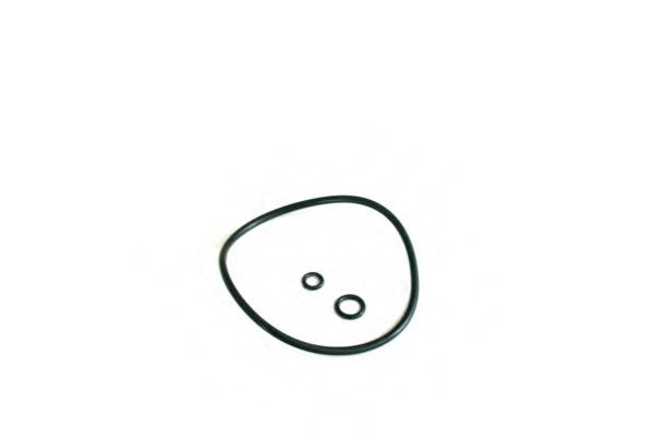 SCT Germany SH 437 P