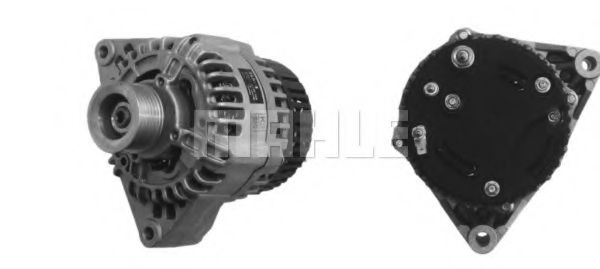 MAHLE ORIGINAL MG 19