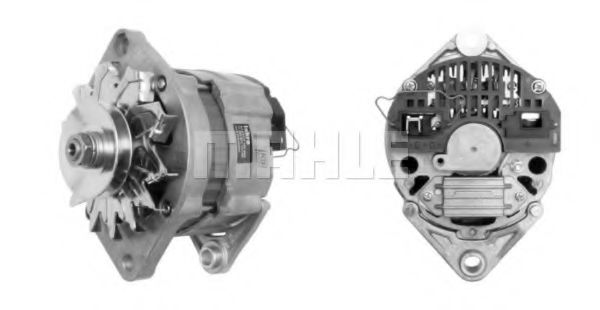 MAHLE ORIGINAL MG 43