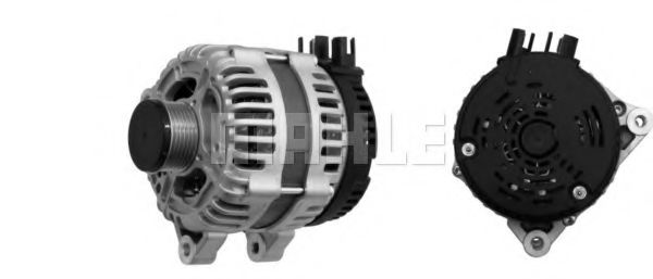 MAHLE ORIGINAL MG 31