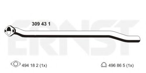 ERNST 309431