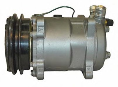 LIZARTE 81.10.11.005