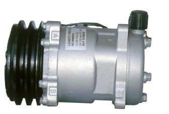 LIZARTE 81.10.11.024