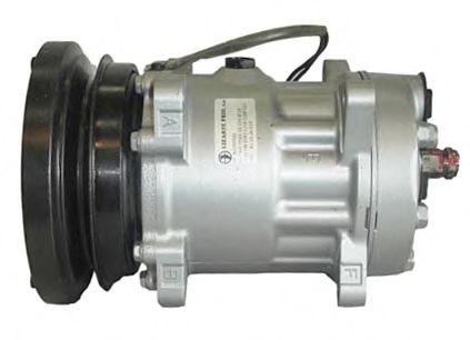 LIZARTE 81.10.26.024