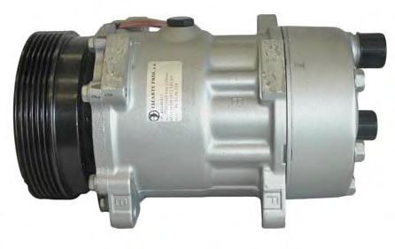 LIZARTE 81.10.26.103