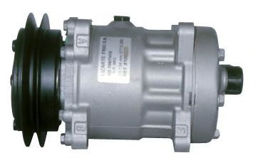 LIZARTE 81.10.26.189