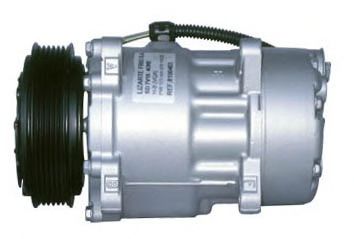 LIZARTE 81.10.46.021