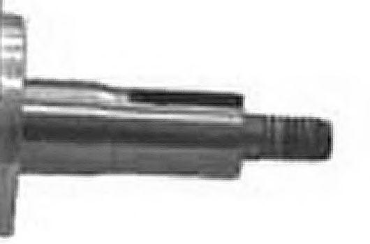 LIZARTE 81.14.22.011