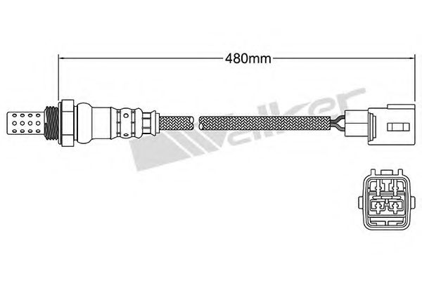WALKER PRODUCTS 250-24777