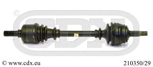 CDX 210350/29