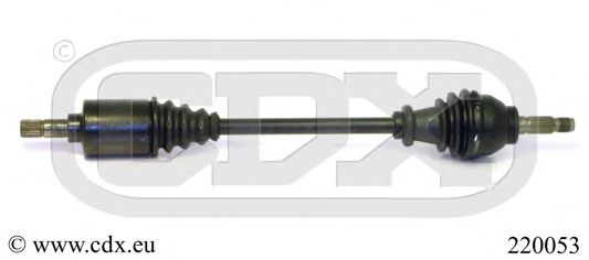 CDX 220053