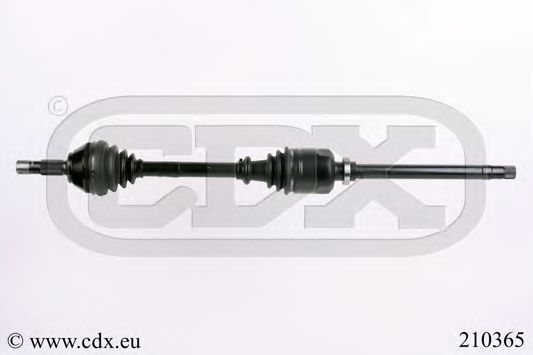 CDX 210365
