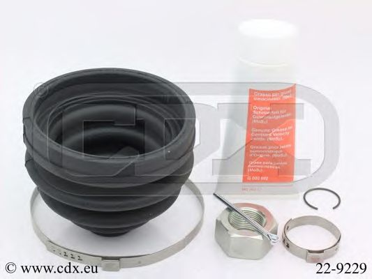 CDX 22-9229