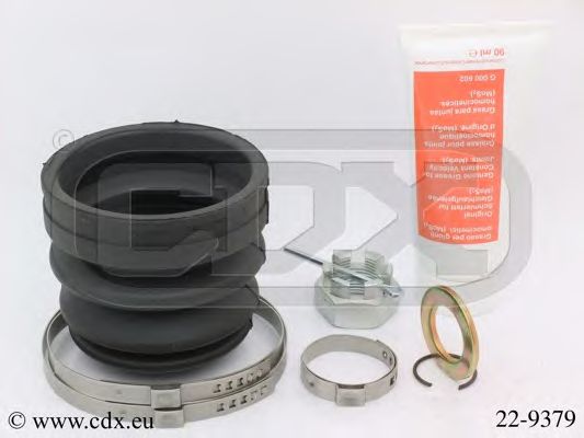 CDX 22-9379
