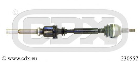 CDX 230557