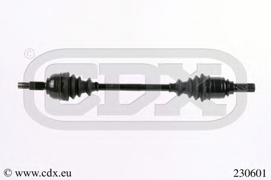 CDX 230601