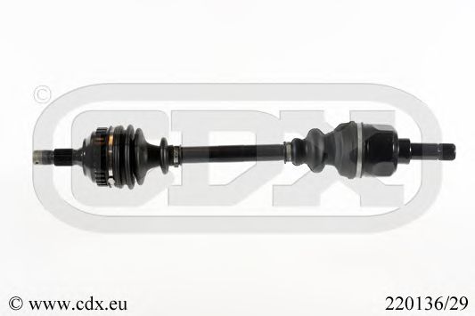 CDX 220136/29