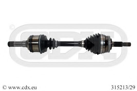 CDX 315213/29