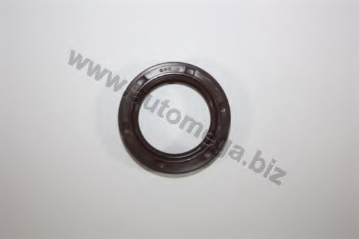 AUTOMEGA 301030085036H