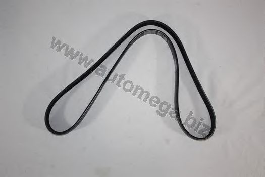 AUTOMEGA 3163400615