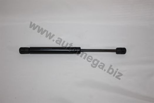 AUTOMEGA 3182705528D5F