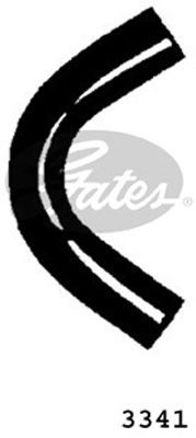 GATES 3341