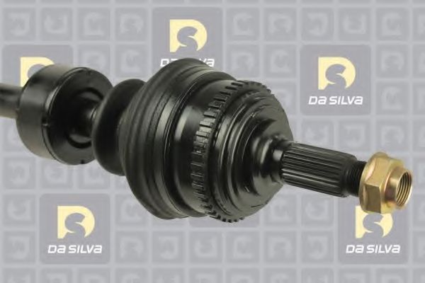 DA SILVA 311223BT
