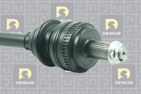 DA SILVA 4191T