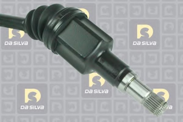 DA SILVA 6521T