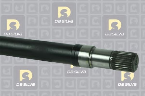 DA SILVA 96107T