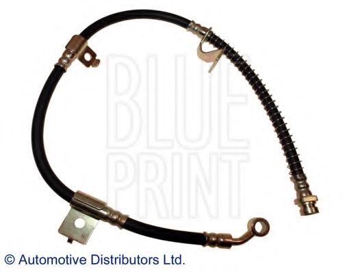 BLUE PRINT ADG053164