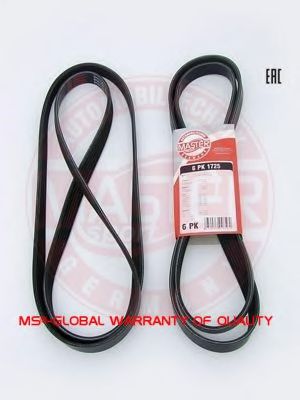 MASTER-SPORT 6PK1725-PCS-MS