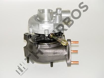 TURBO' S HOET 1100177