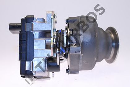 TURBO' S HOET 1101195