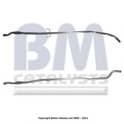 BM CATALYSTS BM50163