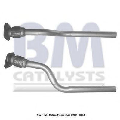 BM CATALYSTS BM50205