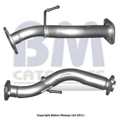 BM CATALYSTS BM50171