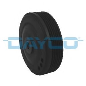 DAYCO DPV1069