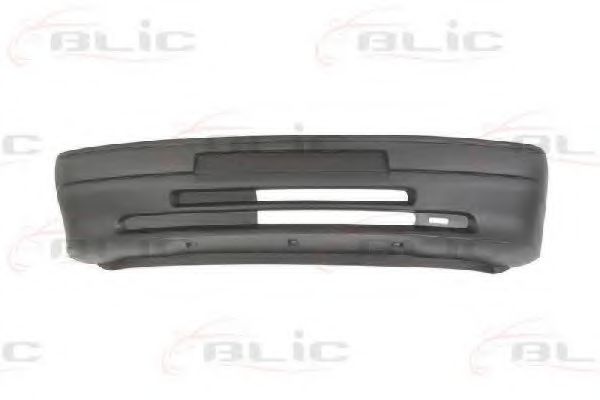 BLIC 5510-00-5502900P