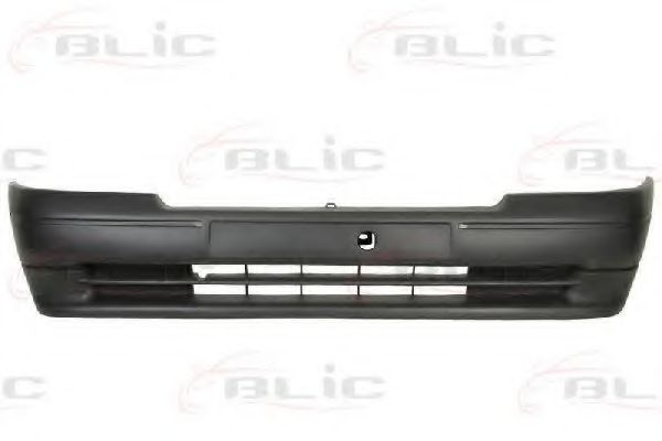 BLIC 5510-00-6031900P