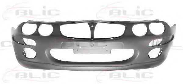 BLIC 5510-00-6435900P