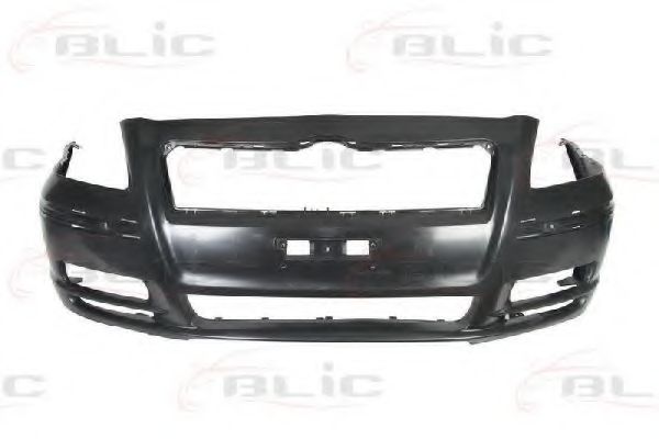 BLIC 5510-00-8161900P