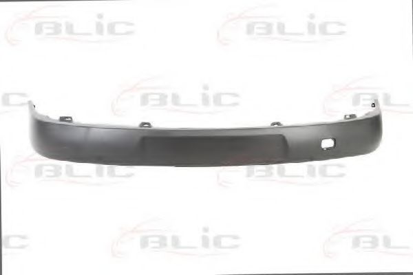 BLIC 5510-00-9504900P