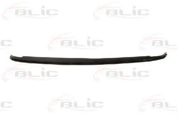 BLIC 5511-00-9534225P